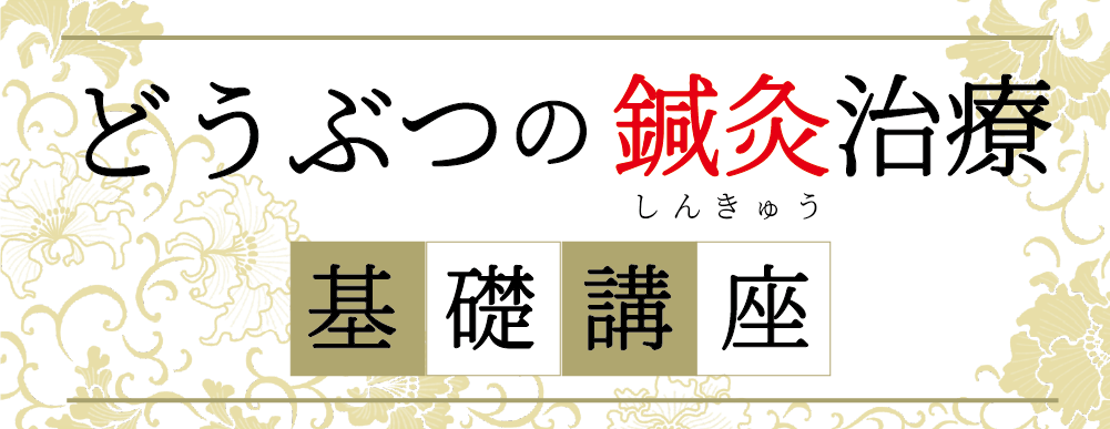 どうぶつの鍼灸治療 基礎講座